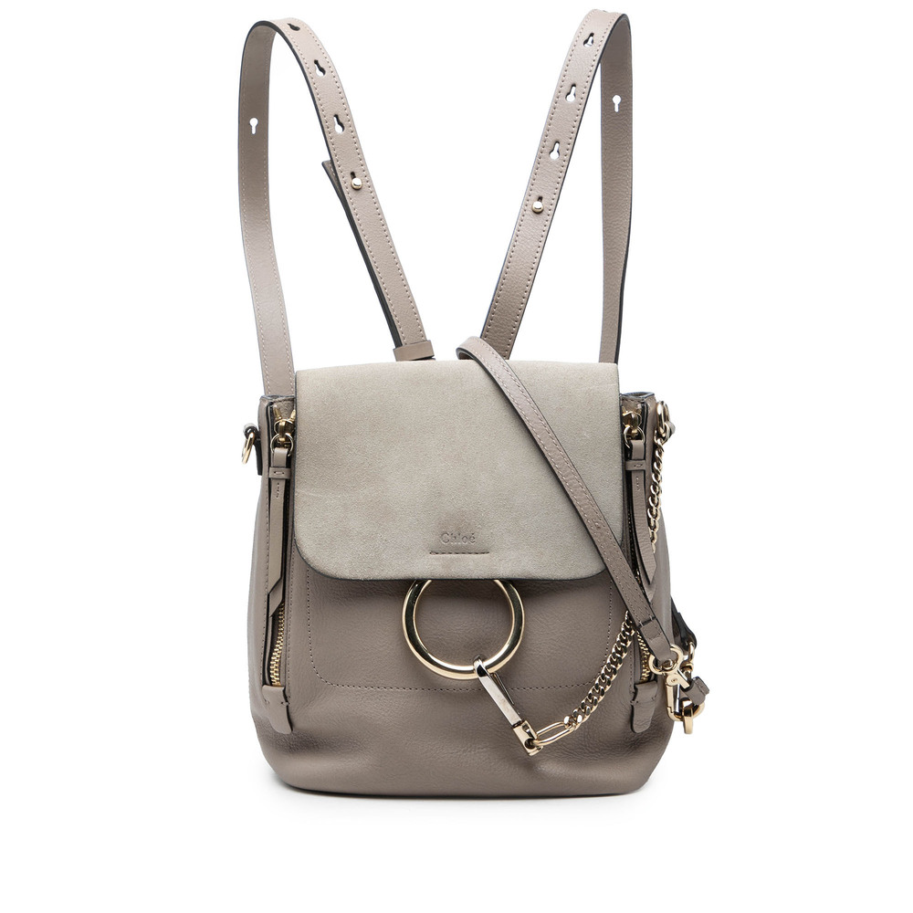 Pre-Loved Chloé Medium Calfskin and Suede Faye Backpack